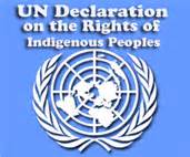 logo-un-decl-on-the-rights-of-indigenous-peoples